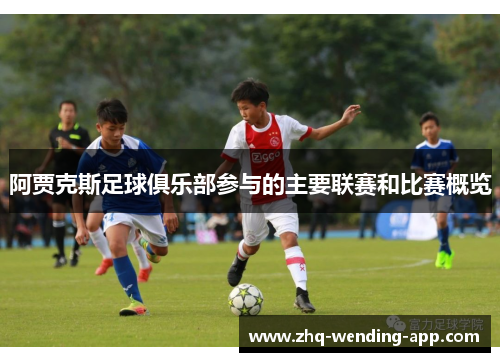 阿贾克斯足球俱乐部参与的主要联赛和比赛概览 阿贾克斯足球俱乐部参与的主要联赛和比赛概览