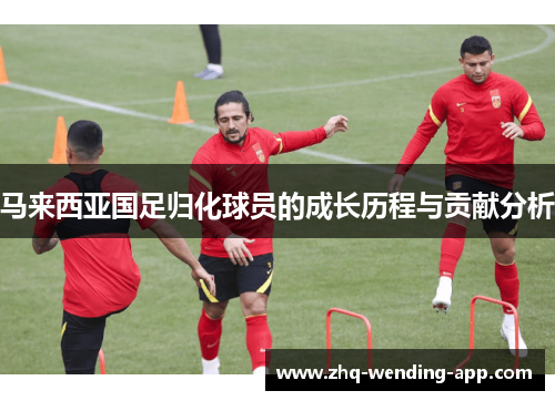 马来西亚国足归化球员的成长历程与贡献分析