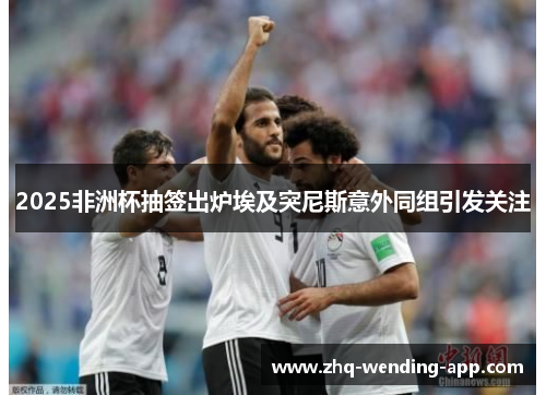 2025非洲杯抽签出炉埃及突尼斯意外同组引发关注 2025非洲杯抽签出炉埃及突尼斯意外同组引发关注